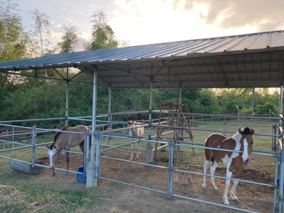 Ataalaya Farmhouse Batangas Luaran gambar